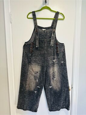 Tree Bird Nest charcoal gray SzS distressed wideleg relaxed fit festival overall